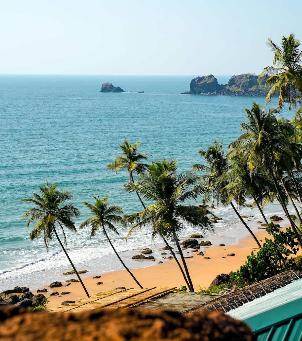 Palm trees leaning over a sandy beach in Goa